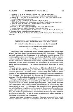messenger RNA-dependent ribosomal protein synthesis system. the