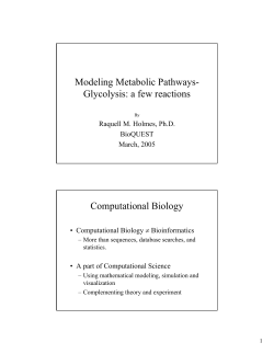 Modeling Metabolic Pathways- Glycolysis: a few reactions