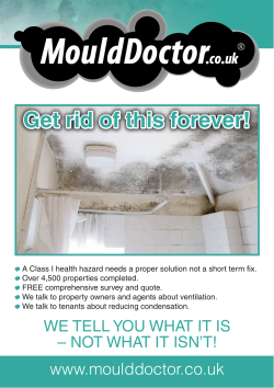 to the Mould Doctor Kent Flyer