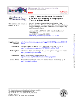 Visceral Adipose Tissue Cells and Inflammatory Macrophages in