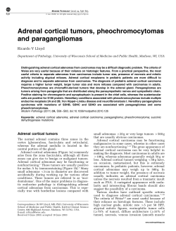 Adrenal cortical tumors, pheochromocytomas and