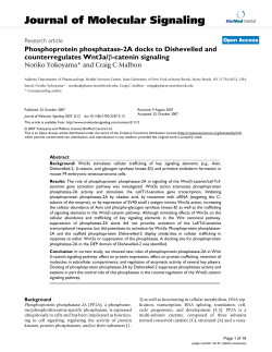 Phosphoprotein phosphatase-2A docks to Dishevelled and