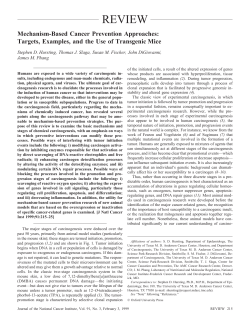Mechanism-Based Cancer Prevention Approaches: Targets