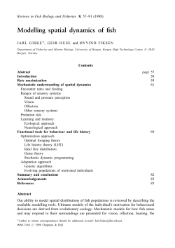Modelling spatial dynamics of fish