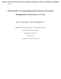SSP2 and OSW1, Two Sporulation-specific Genes