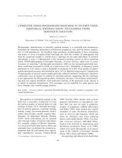 computer-aided photograph matching