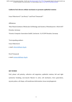 Cadherin Fat2 directs cellular mechanics to promote