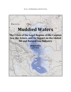 Muddied Waters - Lehigh Student Award Winners Journal