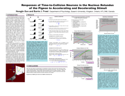 Poster presentation in PDF