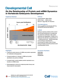 On the Relationship of Protein and mRNA Dynamics in Vertebrate