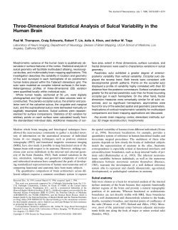Three-Dimensional Statistical Analysis of Sulcal Variability in the