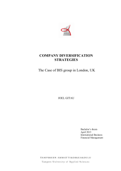 Company Diversification Strategies
