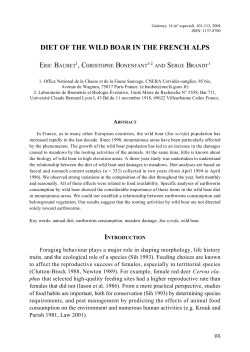 diet of the wild boar in the french alps