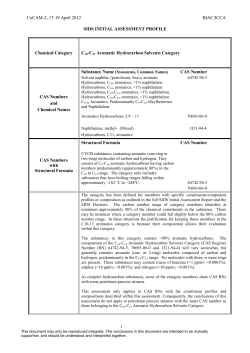 CoCAM-2, 17-19 April 2012 BIAC/ICCA SIDS INITIAL