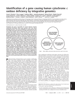 Identification of a gene causing human cytochrome c oxidase
