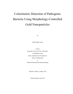 Colorimetric Detection of Pathogenic Bacteria Using