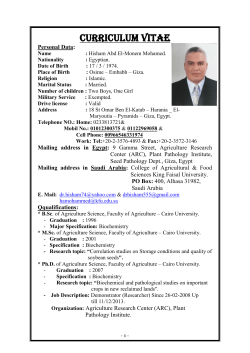 Curriculum Vitae