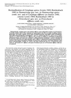 1989 in Flammeovirga gen. nov. as Flammeovirga aprica comb. nov