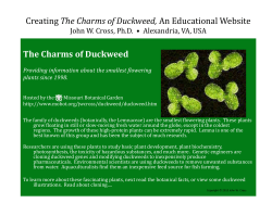 `The Charms of Duckweed,` an educational website