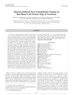 Hypoxia-Induced Post-Translational Changes in Red Blood Cell