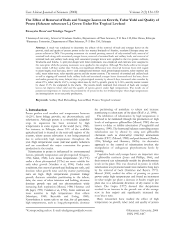 Effect of Removal of Buds and Younger Leaves on Growth, Tuber