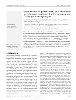 Green fluorescent protein (GFP) as a vital marker for