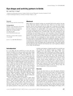 Eye shape and activity pattern in birds