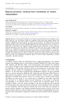 Beyond junctions: nonlocal form constraints on motion interpretation