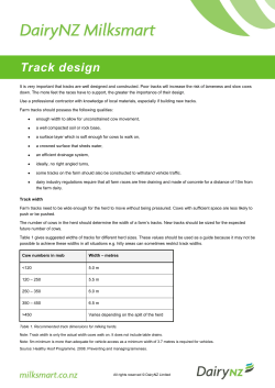 Track design