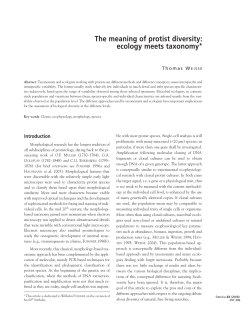The meaning of protist diversity: ecology meets taxonomy*