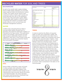 Summary report: Recycled water for soil and trees
