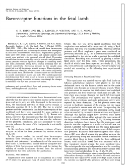 Baroreceptor functions in the fetal lamb