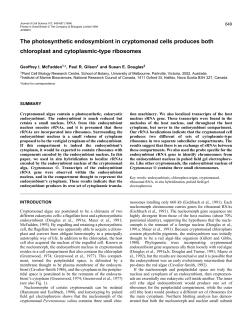 The photosynthetic endosymbiont in cryptomonad cells produces