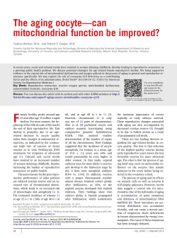 The aging oocyte-can mitochondrial function be improved?