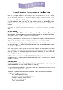 Home invasion: the scourge of the bed bug - Protect-A-Bed