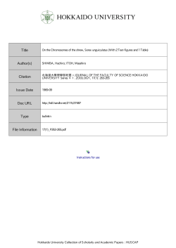 On the Chromosomes of the shrew, Sorex unguiculatus (With 2 Text