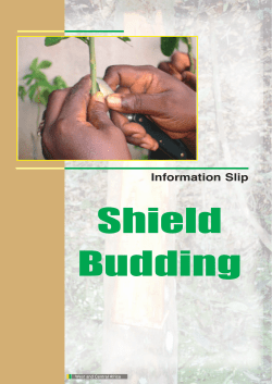 Information Slip