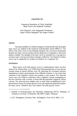 CHAPTER 138 Numerical Simulation of Finite Amplitude Shear