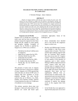 39 Seagrass Loss in Florida Seagrass loss in Florida has occurred