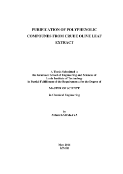 purification of polyphenolic compounds from crude olive