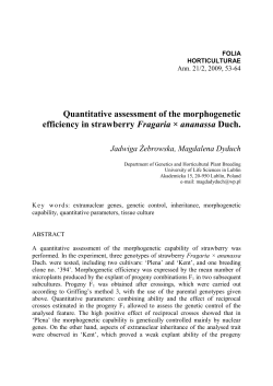 Quantitative assessment of the morphogenetic efficiency in