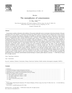 The neurophysics of consciousness