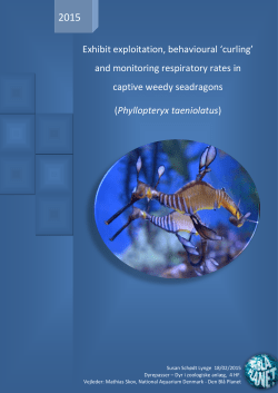 and monitoring respiratory rates in captive weedy