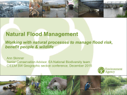 Natural Flood Management