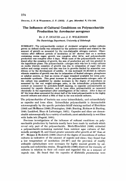 The Influence of Cultural Conditions on Polysaccharide Production