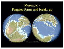 Mesozoic - Pangaea forms and breaks up