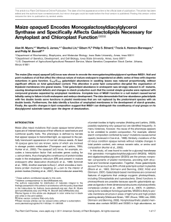 Maize opaque5 Encodes Monogalactosyldiacylglycerol Synthase
