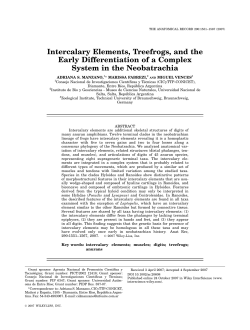 Intercalary Elements, Treefrogs, and the Early