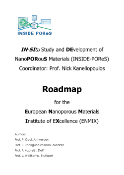 ENMIX Roadmap