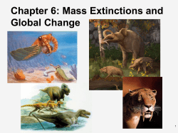 Chapter 6: Mass Extinctions and Global Change